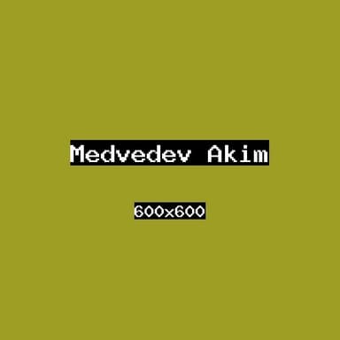 Медведев Аким