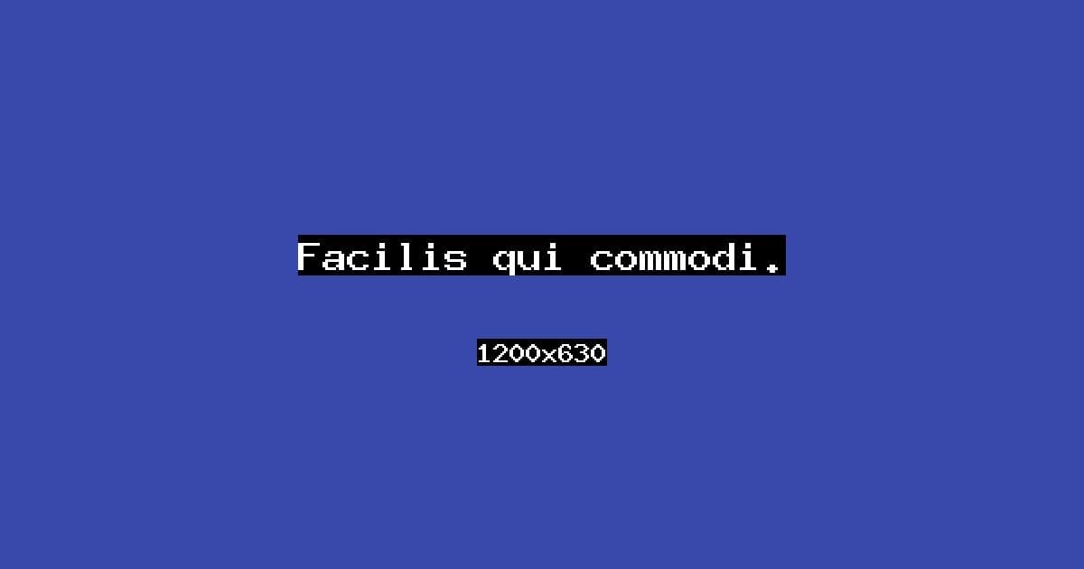 Facilis qui commodi.