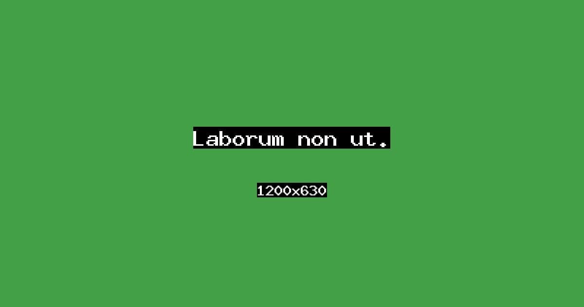 Laborum non ut.