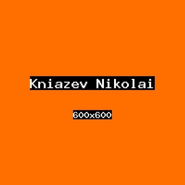 Князев Николай