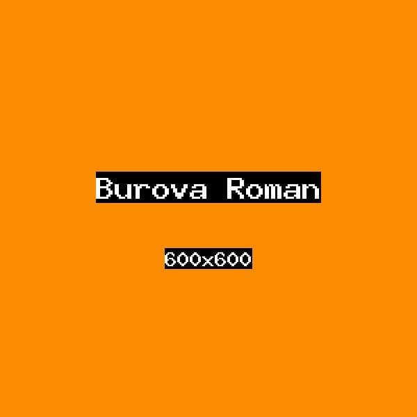 Бурова Роман