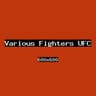 Various Fighters UFC
