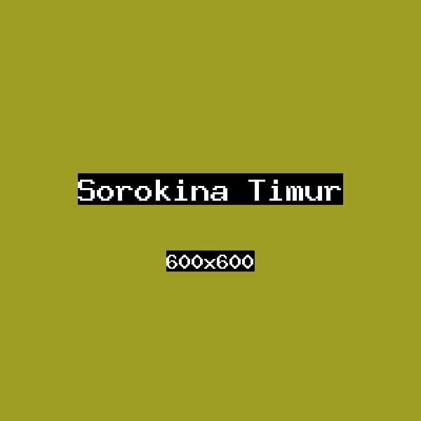 Сорокина Тимур